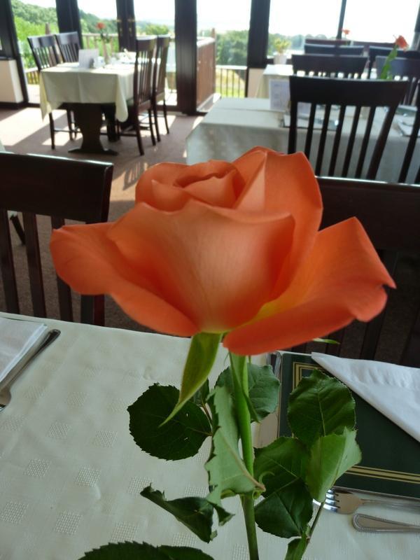 Monturpie Guest House Kirkton of Largo Ngoại thất bức ảnh